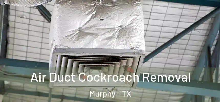 Air Duct Cockroach Removal Murphy - TX