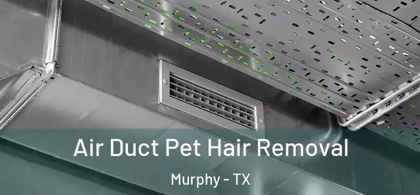 Air Duct Pet Hair Removal Murphy - TX