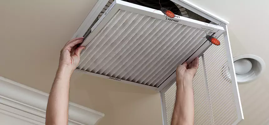 Preventive Cockroach-Proofing for Ducts in Murphy
