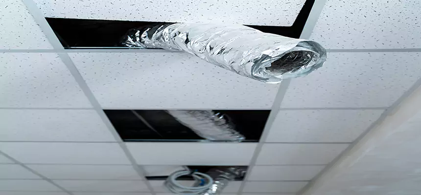 Our Air Duct Pet Hair Removal Services in Murphy, TX