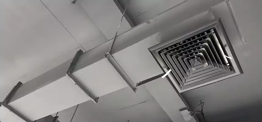 Our Rodent Droppings In Vents Services in Murphy, TX