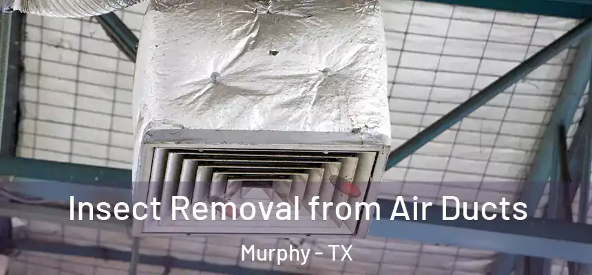 Insect Removal from Air Ducts Murphy - TX