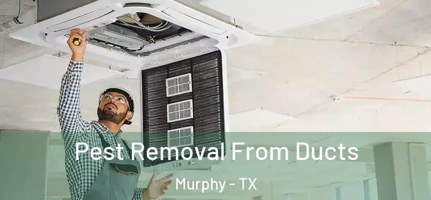 Pest Removal From Ducts Murphy - TX