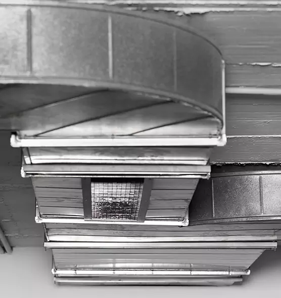 Professional Air Duct Pet Hair Removal in Murphy, TX