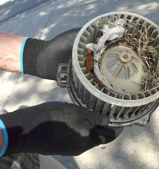 About Air Duct Rat Removal in Murphy, TX