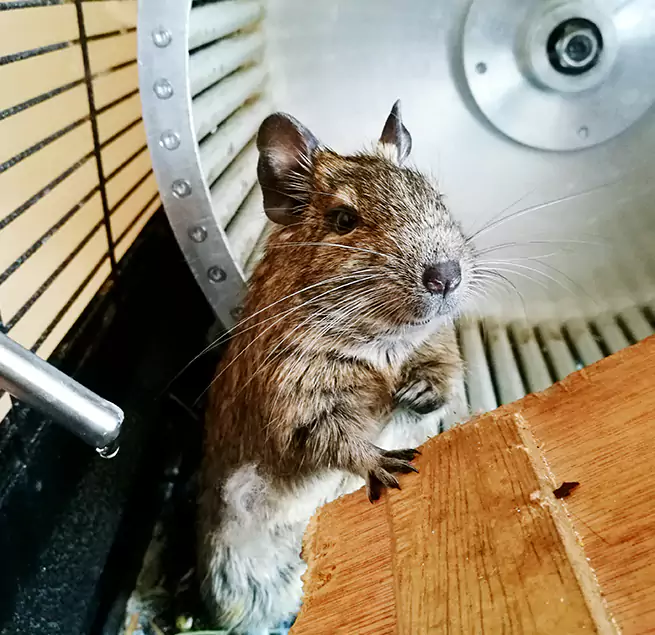 Why Homeowners & Businesses Trust Us Murphy, TX