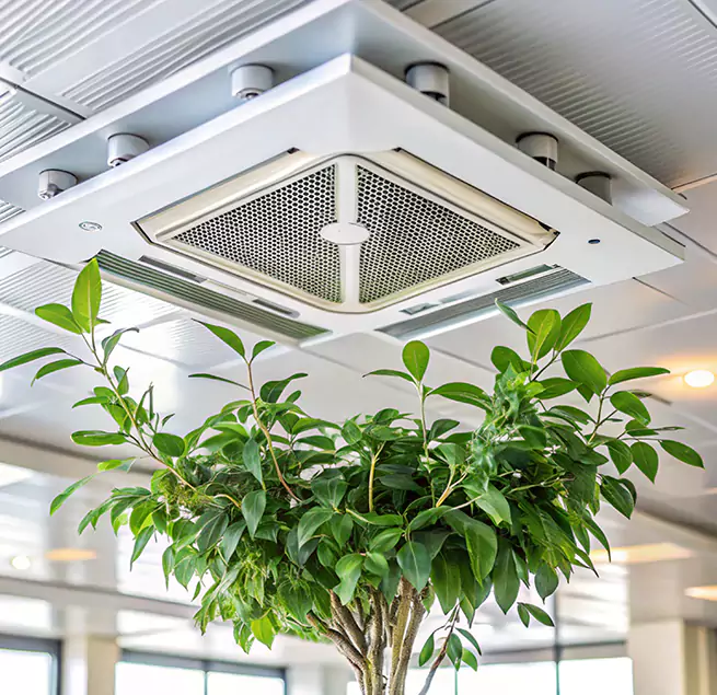 Why Homeowners & Businesses Trust Us in Murphy, TX