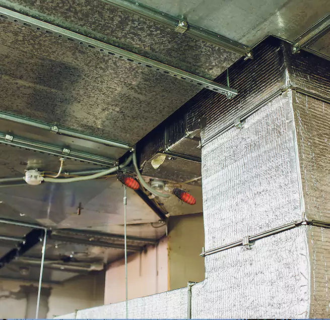 Why Homeowners & Businesses Trust Us Murphy, TX?